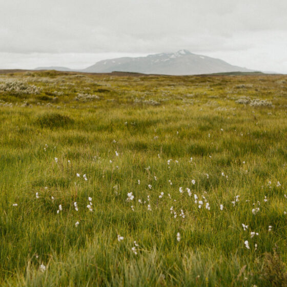 Wide open prairie with mountain in the background