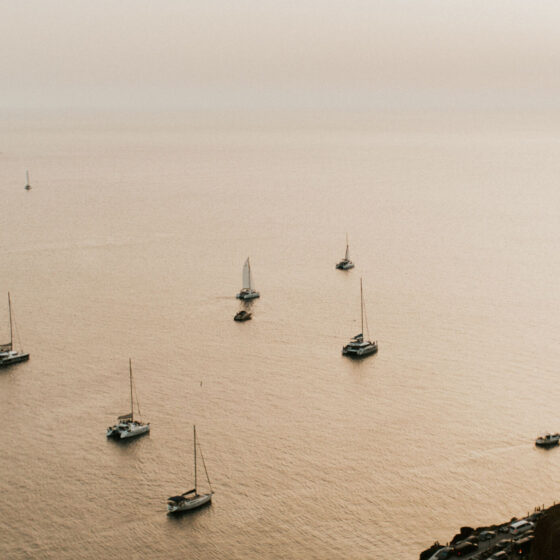 Sailboats in harbor at dusk