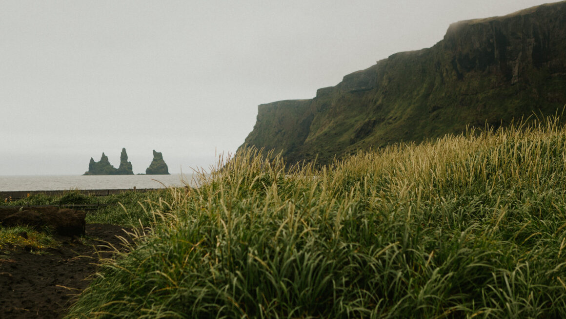 Long grass next to beach clif